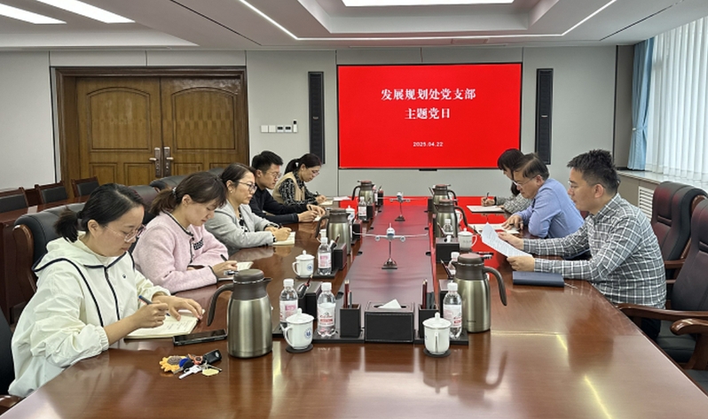 党委委员、副校长杜伟参加所在党...